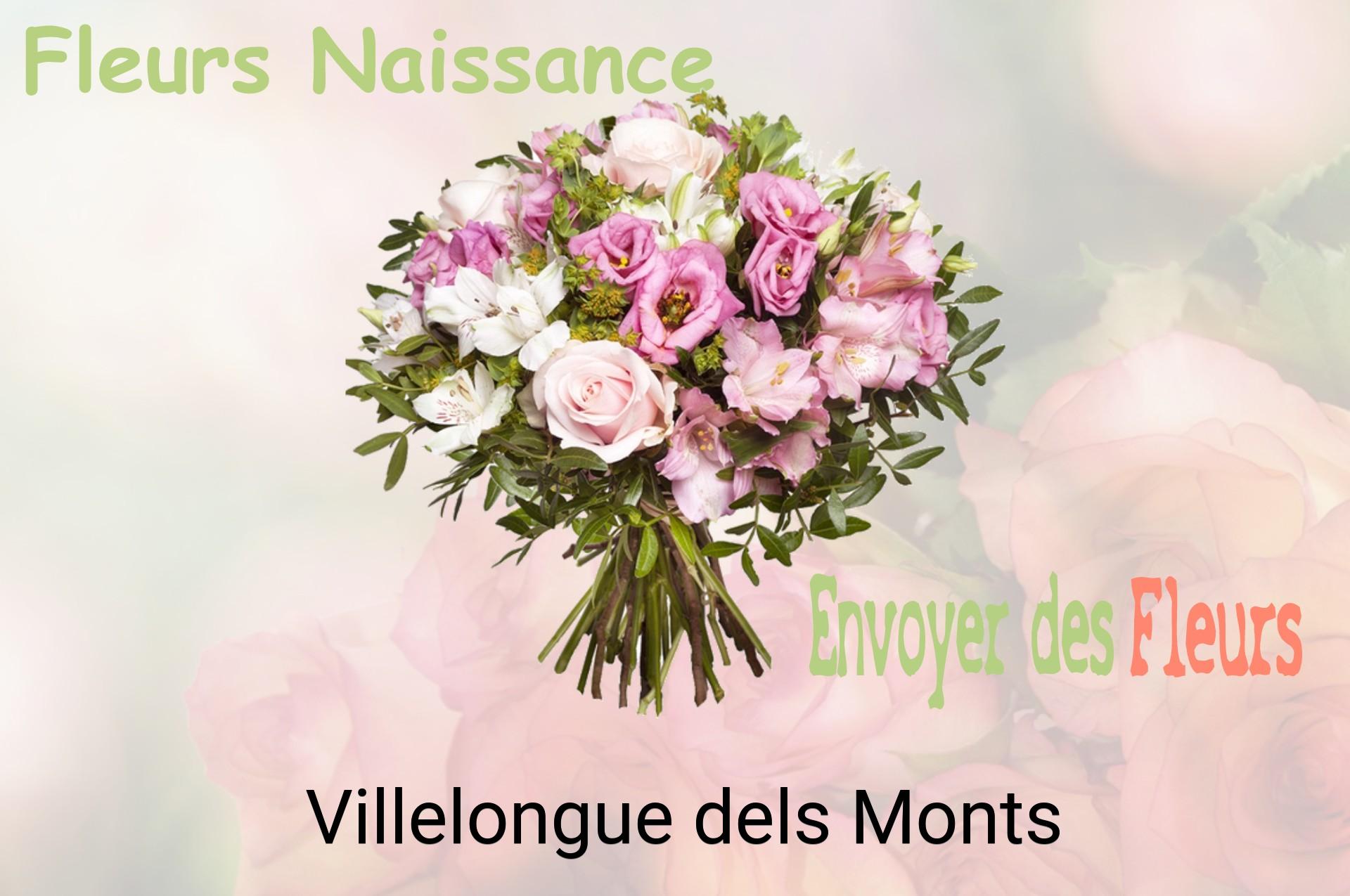 Bouquet de fleurs de naissance livré à Villelongue-dels-Monts
